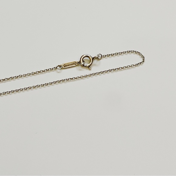 Tiffany & Co RARE Enchant Circle Pendant Necklace - Sterling Silver - Picture 3 of 5